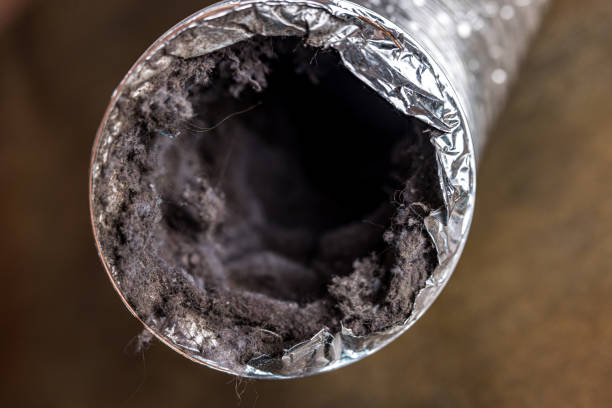 Best Affordable Duct Cleaning Services  in Wytheville, VA